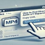 How To Fin Direct Url Of Mp4 Asset In Squarespace